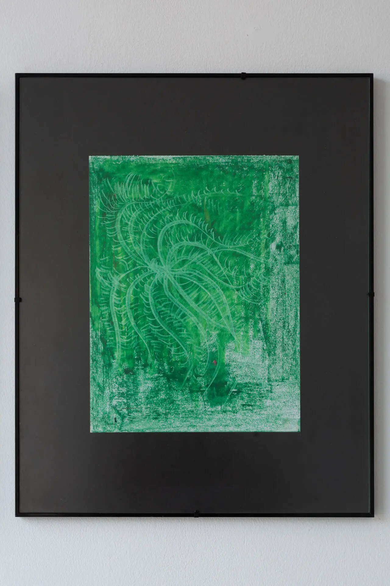 Giammarco Cugusi | Clematis Vitalba | rosa