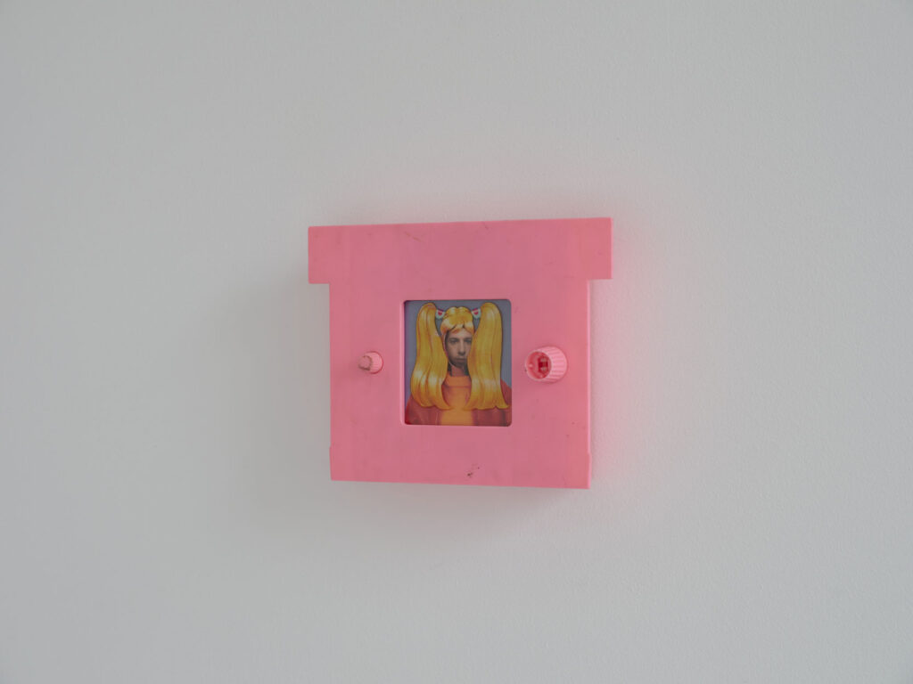 Giammarco Cugusi: Autoritratto con capelli biondi. l’artista ha sostituito il volto con una sua personale fototessera. Opera dell'artista Giammarco Cugusi Clematis Vitalba autoritratto Art Studio Finestreria Gallery