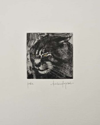 Tuttigatti | Luciano Ragozzino